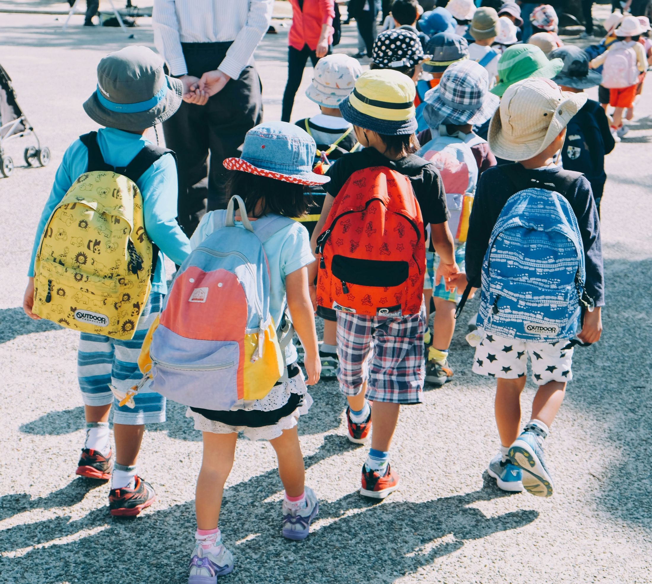 Young schoolchildren in sun hats and backpacks walking in a line with an adult
